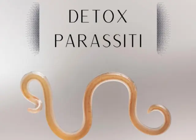 Detox Parassiti – Lorenzo Biohacker Detox Parassiti – Lorenzo Biohacker