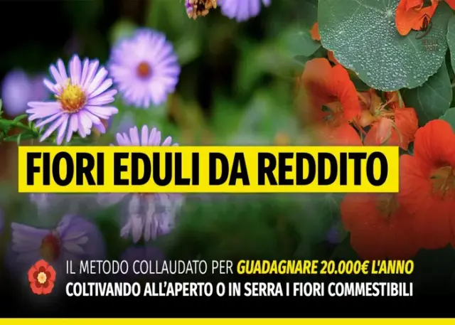 Fiori Eduli da reddito MASTER – Rendita Agricola Fiori Eduli da reddito MASTER – Rendita Agricola