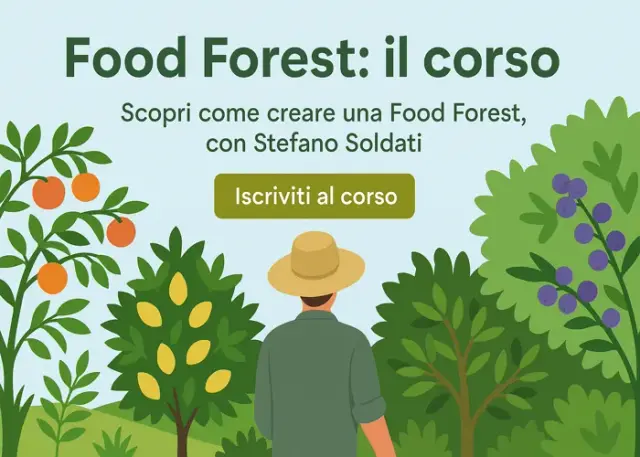 Food Forest – Bosco di Ogigia Food Forest – Bosco di Ogigia