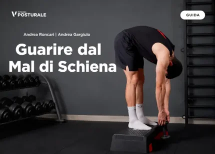 Guarire dal Mal di Schiena – Project InVictus