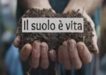 Il Suolo è Vita – Bosco di Ogigia
