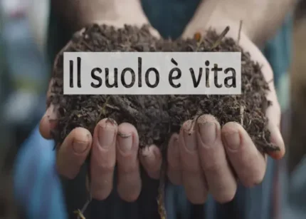 Il Suolo è Vita – Bosco di Ogigia