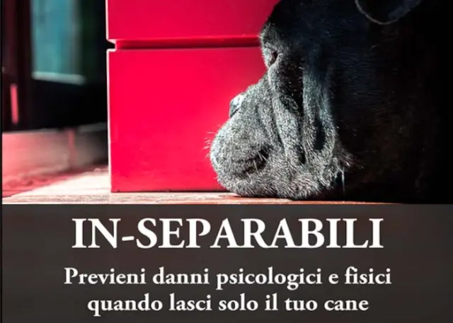 In-Separabili – Fantasticane In-Separabili – Fantasticane