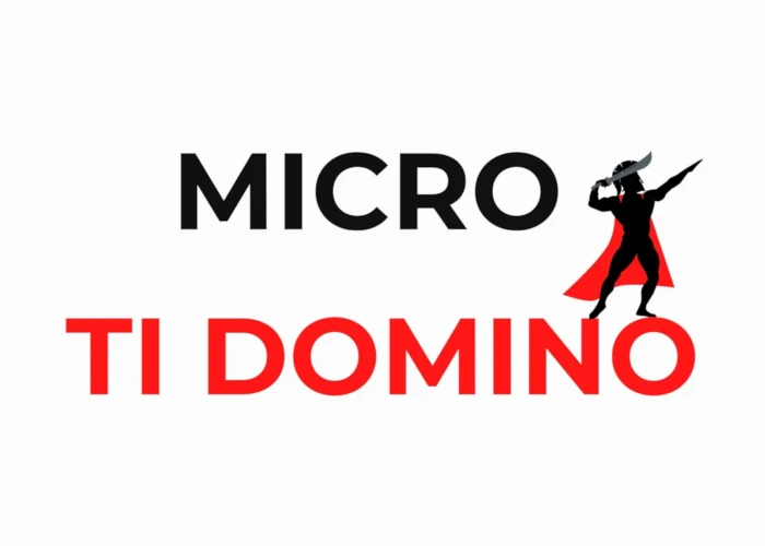 Micro ti Domino - LGEducation Micro ti Domino – LGEducation