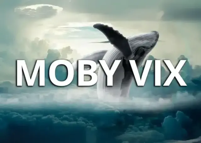 Moby VIX - BuzWay (Francesco Buzzi) Moby VIX - BuzWay (Francesco Buzzi)