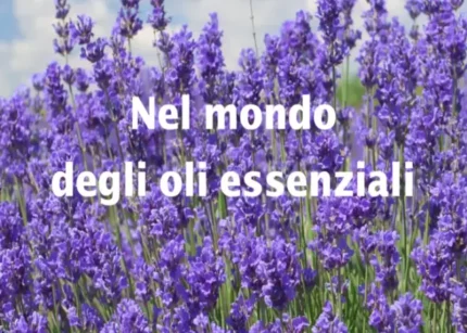 Nel mondo degli oli essenziali – Bosco di Ogigia