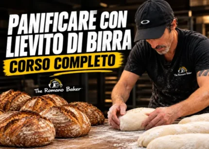 Panificare con Lievito di Birra: Corso completo – The Romano Baker