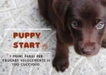 Puppy Start - Educazione Cinofila